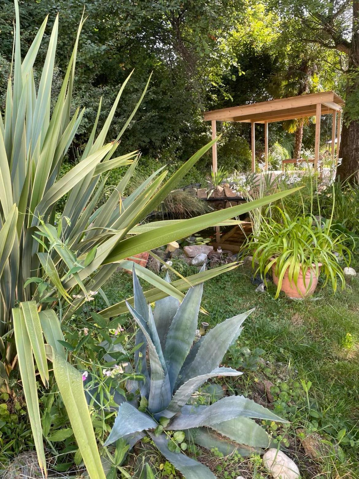 Bed and Breakfast Les Agapanthes à Vaux-en-Beaujolais Extérieur photo