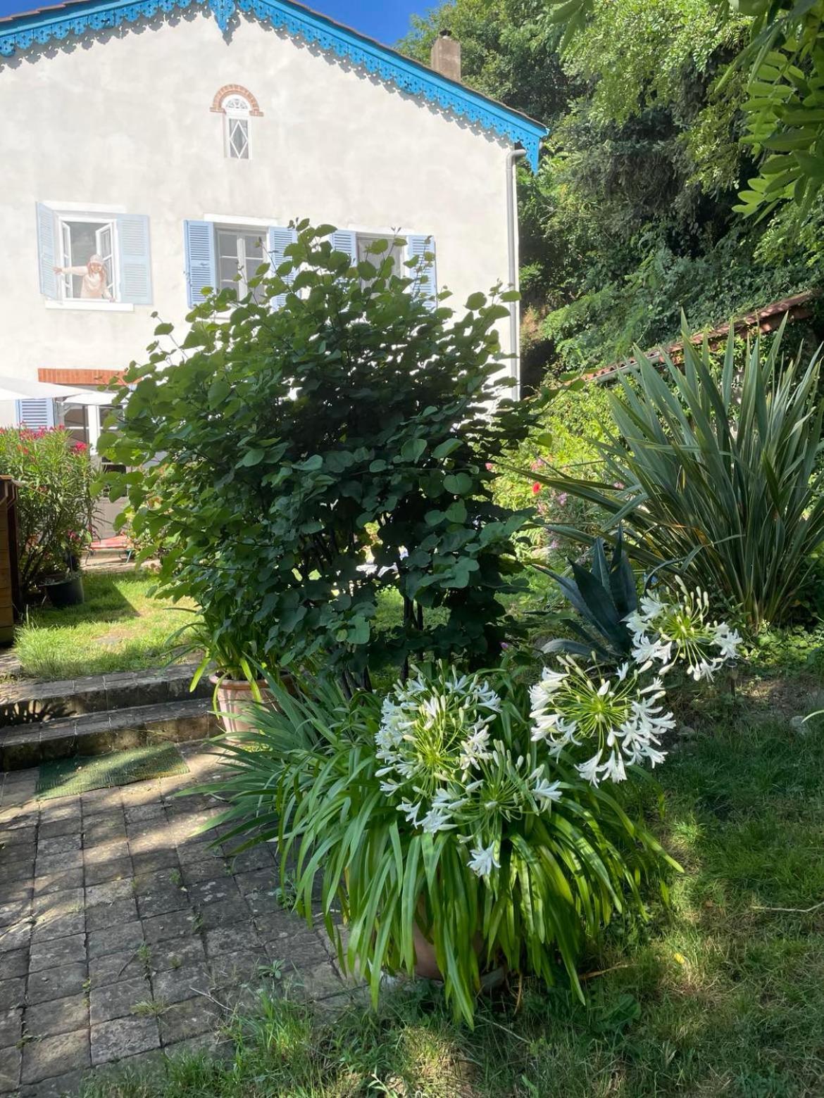 Bed and Breakfast Les Agapanthes à Vaux-en-Beaujolais Extérieur photo
