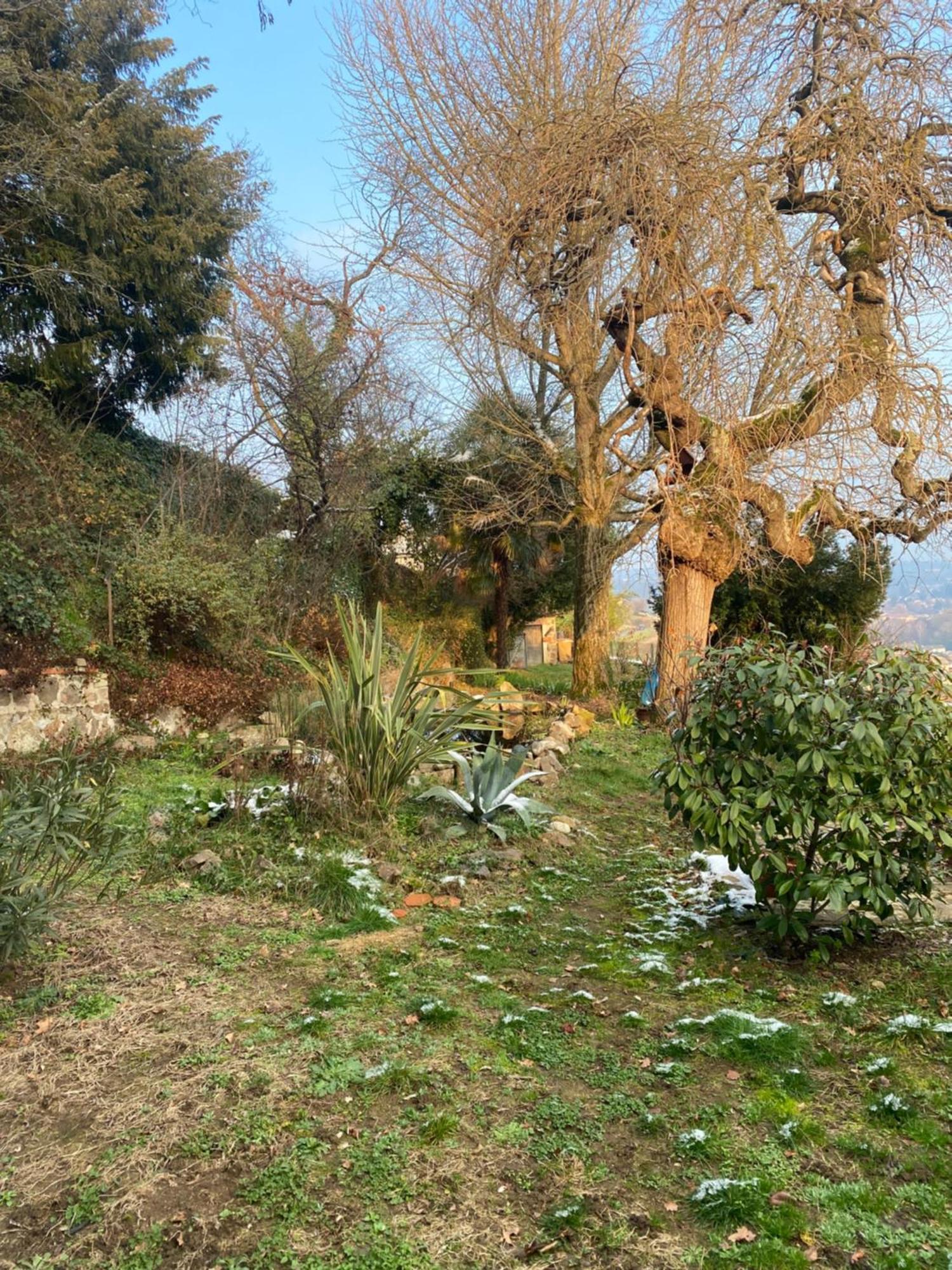 Bed and Breakfast Les Agapanthes à Vaux-en-Beaujolais Extérieur photo